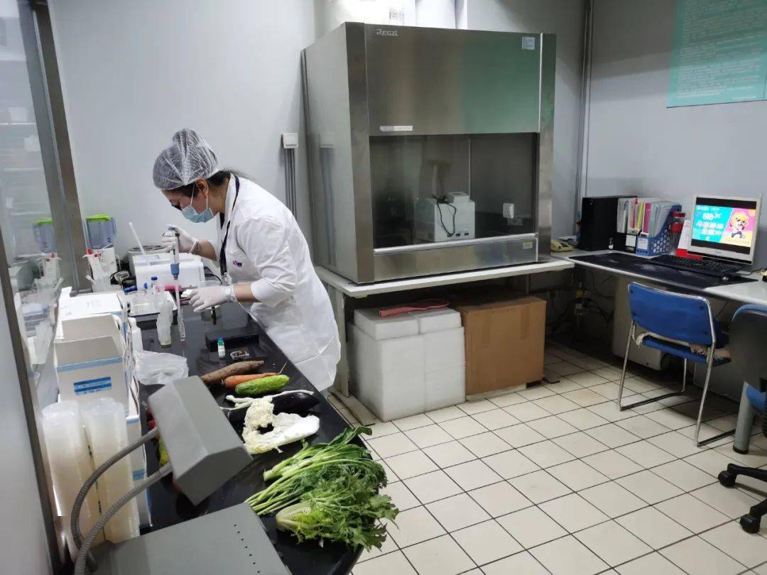 平鲁食品检测实验室装修方案